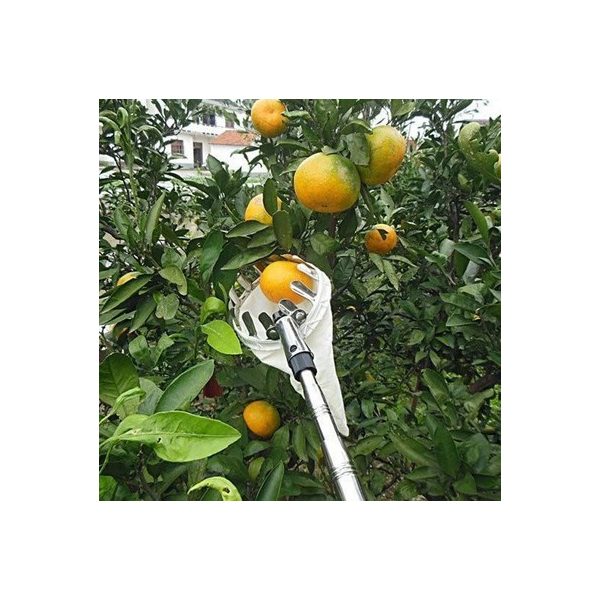 Gyümölcsszedő Szüretelő Fej