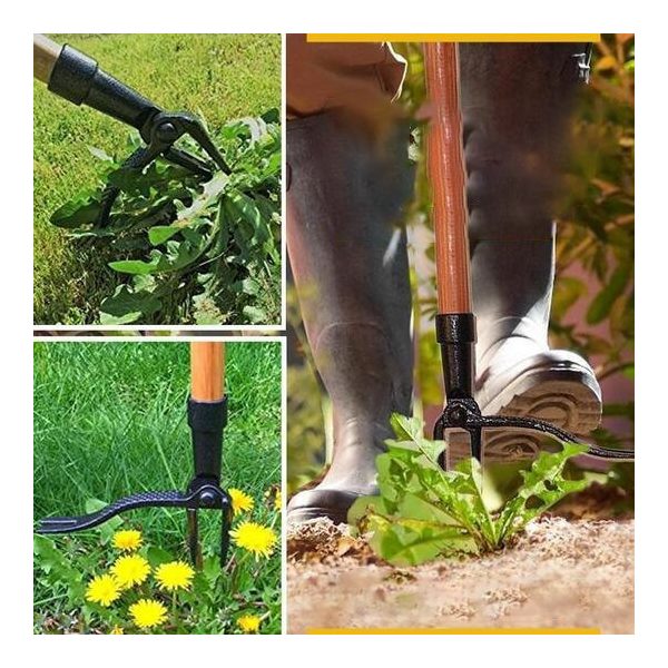 Gyomkihúzó szerszámfej, gyökér és gyomeltávolító