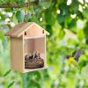 Kis madárház, fém madárles, fa dekorációval