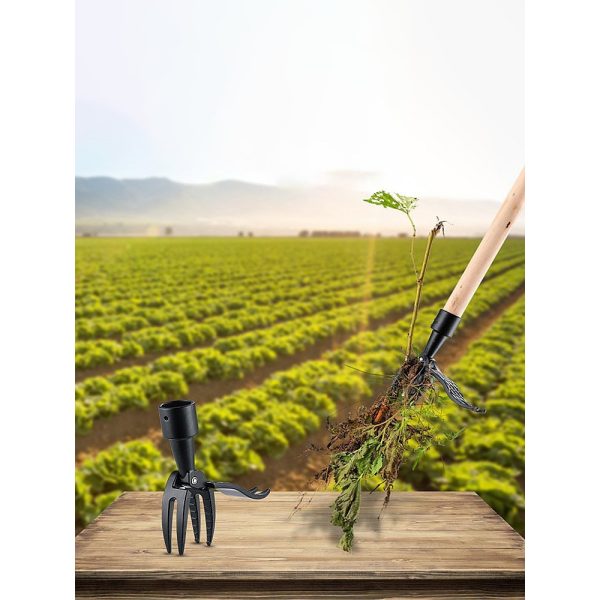 Gyomkiszedő, Gyomeltávolító fej