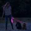 LED-as kutyapóráz - akkumulátoros