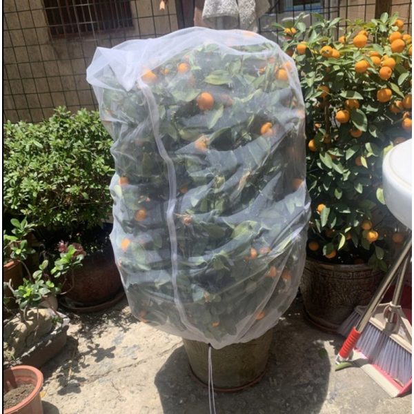 Kerti növényvédelmi háló rovarok ellen - 100 x 150 cm, zöldség- és gyümölcsvédő háló