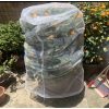 Kerti növényvédelmi háló rovarok ellen - 100 x 150 cm, zöldség- és gyümölcsvédő háló