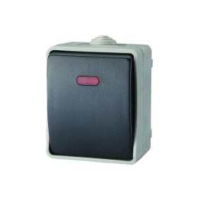   AQUATOP 9876H falon kívüli váltókapcsoló, 1 billenő, 10 A, IP54, szürke, jelzőfénnyel