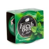 Paloma Fresh Box borsmenta illatosító pohárban 25 g