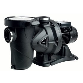   DAB Euroswim 300M 3 HP medenceszivattyú, 38m3/h teljesítmény, 230V feszültségű