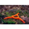 NEO TOOLS Gázégő palack tartó állvány 63-143