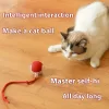 Whisker Wonders USB újratölthető interaktív macskajáték labda