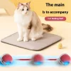 Whisker Wonders USB újratölthető interaktív macskajáték labda