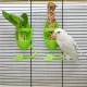Kényelmes Madár etető Állomás, Tökéletes Madárkalitkatartozék