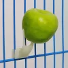 4db strapabíró műanyag gyümölcsvilla papagájoknak