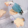 Papagájoknak készült madárülőke, rétegelt fa lemezből készült madárállvány