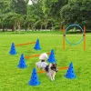 Kutya Agility Oktatókészlet - Ugrógyűrű És Ugróbot akadálypálya tartozékok