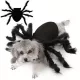 Halloweeni pók jelmez macskáknak és kis/közepes kutyáknak