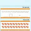 Matematikai oktató kártyák