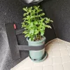 Autó Csomagtartó Rugalmas Rögzítő Pánt