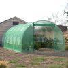 Kerti üvegház fólia zöld szúnyogháló ablakokkal, 2x6x3m, kerti növényekhez, zöldségekhez, termesztéshez