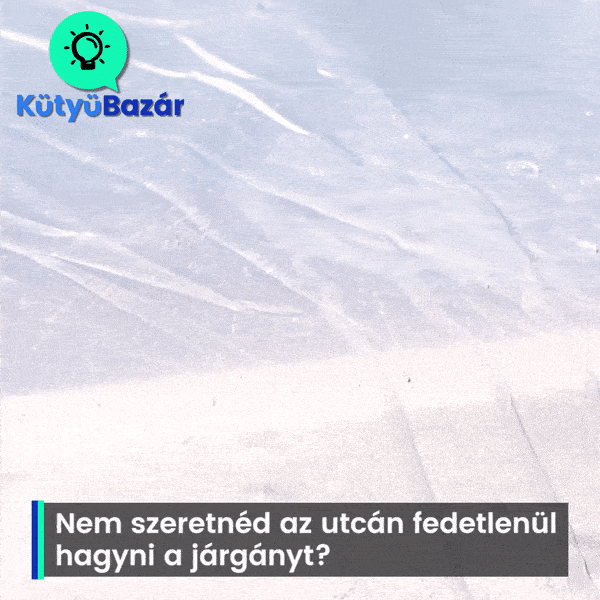 Kép címe
