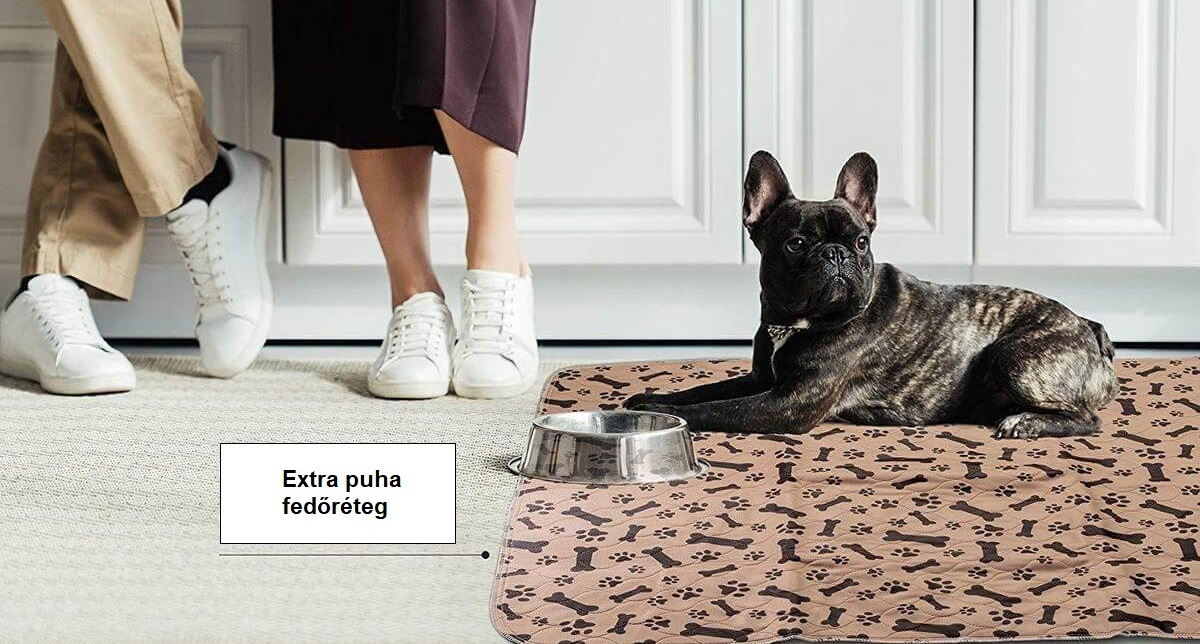 Kutyapelenka, kutya WC (mosható, újrahasználható)